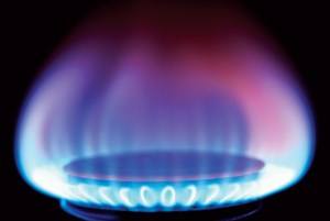 удельный вес природного газа