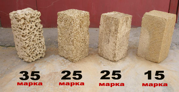 svoistva rakushechnika